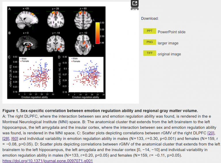 Sex Related Neuroanatomical Basis Of Emotion Regulation Ability